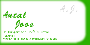 antal joos business card